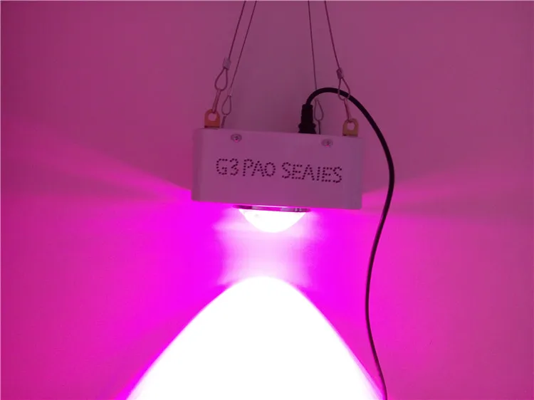 

Newest Big eyes 150W COB LED grow Light 10 Spectrums IR Indoor Hydroponic System