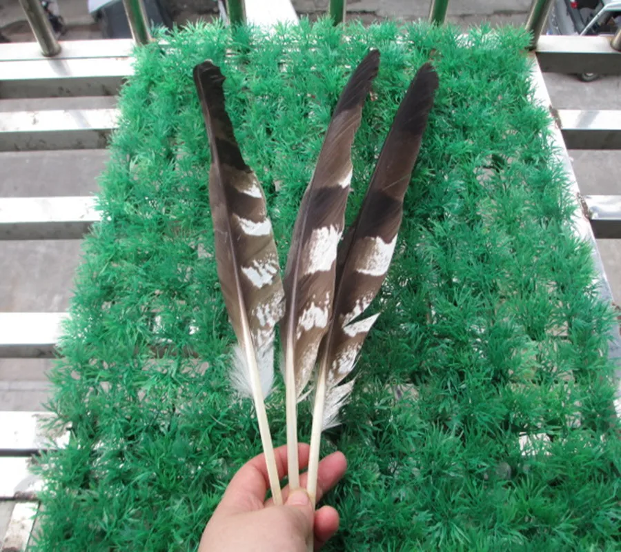 Buy 10pcs beautiful natural eagle feathers 30 35 cm 12