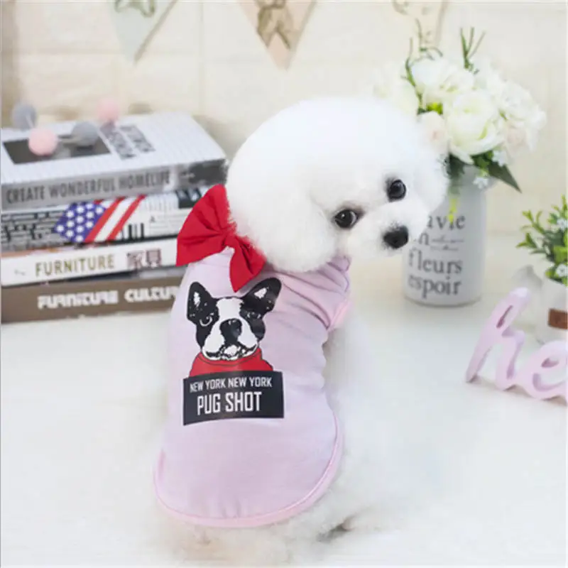 QQ20190210164300