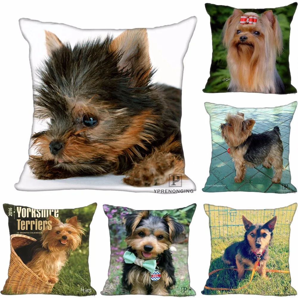 

Custom Decorative Pillowcase Yorkshire Terrier Square Zippered Pillow Cover Cases 35X35,40x40,45x45cm(One Side)180516-14