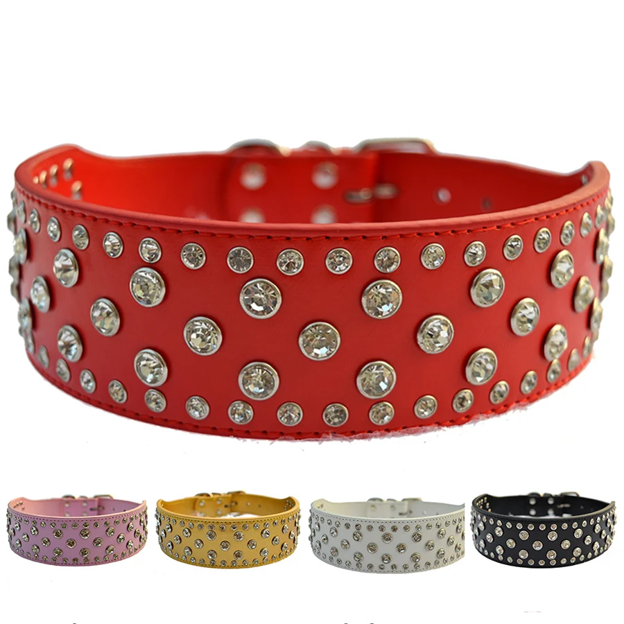 2 inch dog collar Clearance