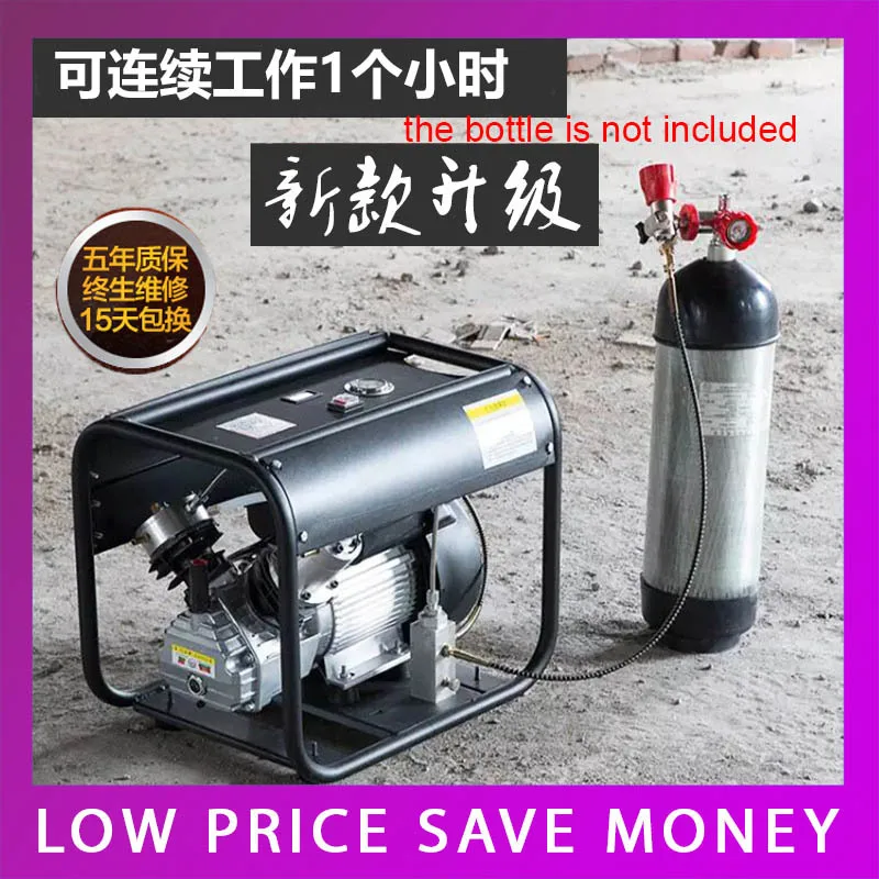 9.19Automatic Stop Double Cylinder PCP Electric Air Pump 220V 50HZ High