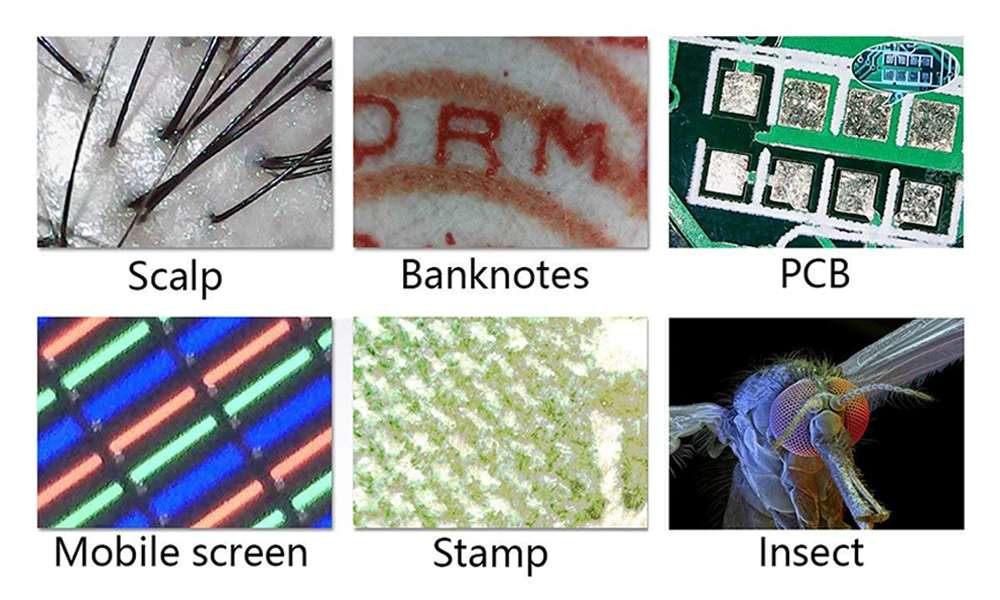 1600X 8LED Лупа камера цифровой электронный микроскоп мини Ручной USB микроскоп Эндоскоп зум Камера
