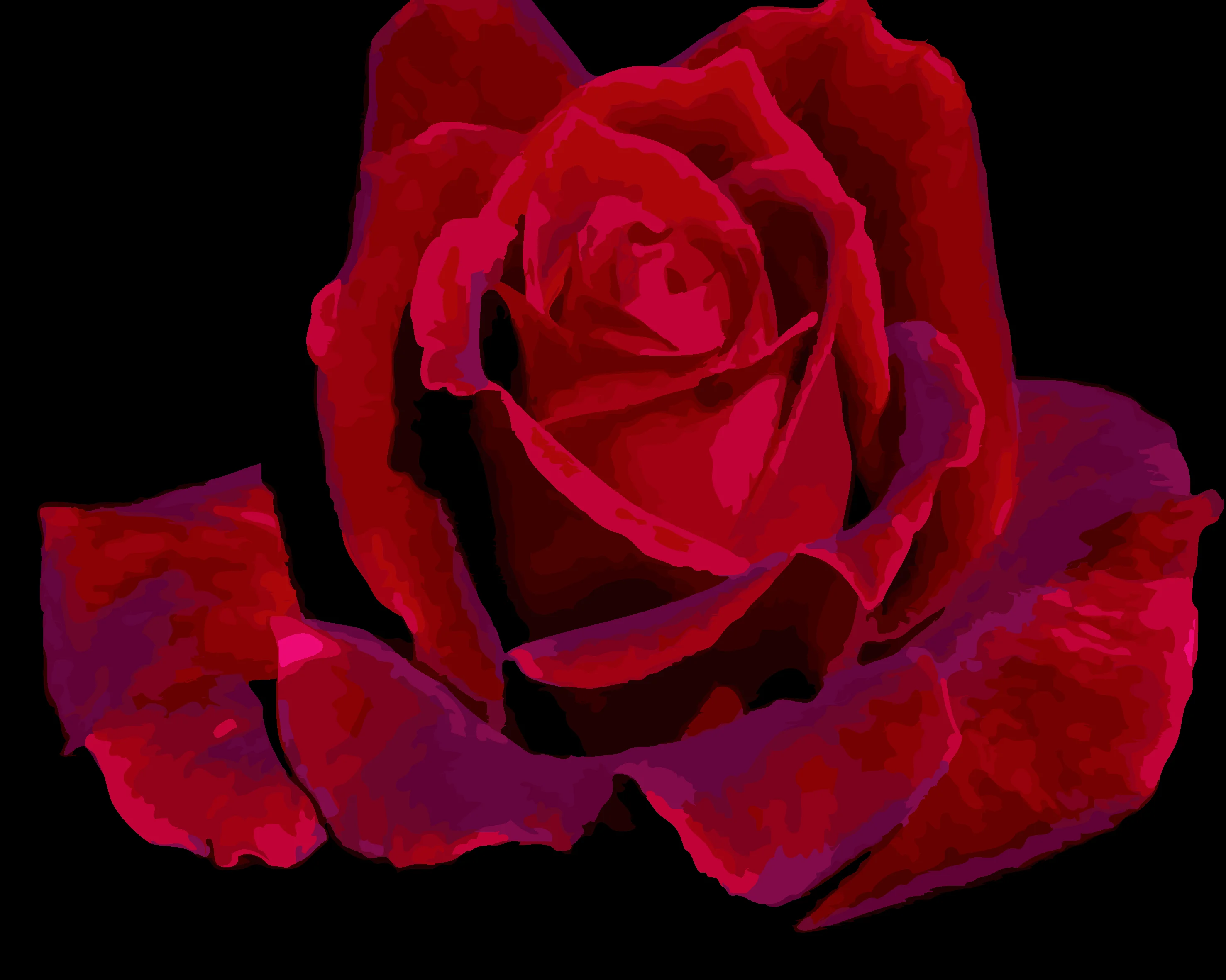 Acrylic paint Red rose Crafts digital Frameless Handpainted Oil