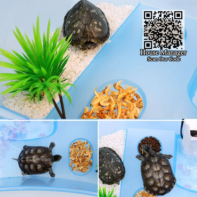 Маленькая Черепаха 25x17x11 см, дом для обитания, 4 области = плавание+ подъем+ Корм+ отдых греться с светильник, мини аквариумная черепаха танк