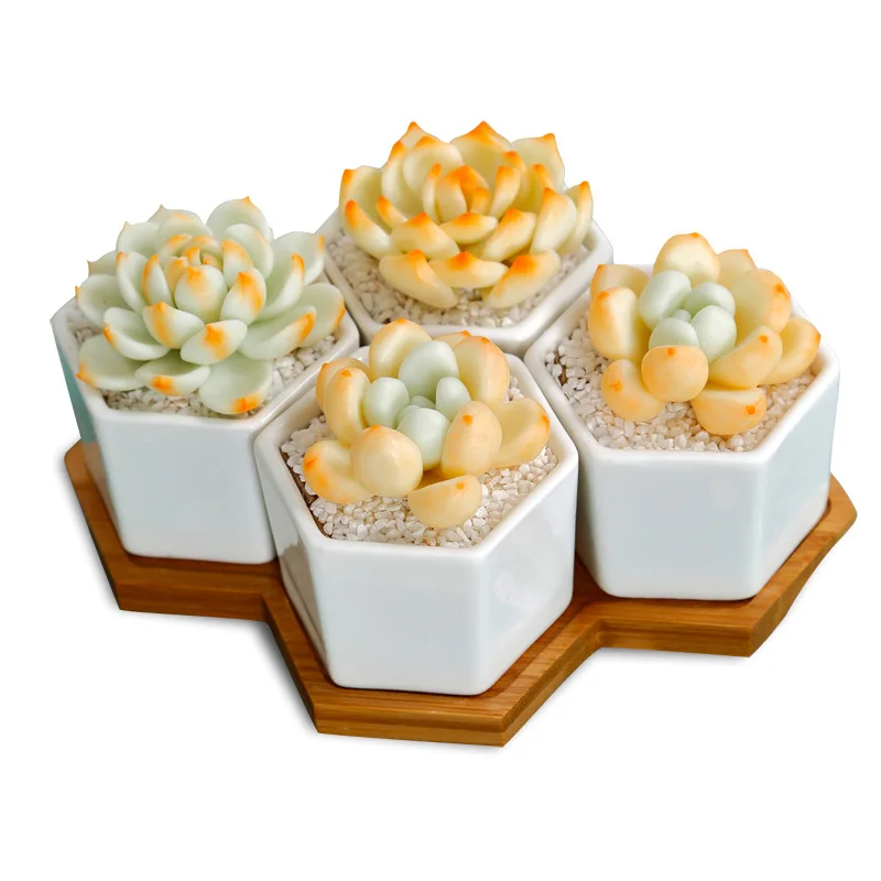 

4pcs/lot Hexagon White Ceramic Succulent Plant Pot Home Indoor Planter with Bamboo Tray Small Ceramic Planters for Succulents