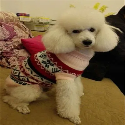 6020