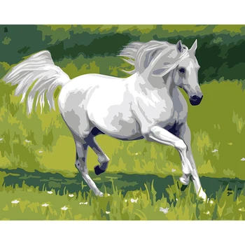 

Birthday White Horse Animal DIY Digital Painting By Number Modern Wall Art Canvas Painting Christmas Unique Gift Room Decor