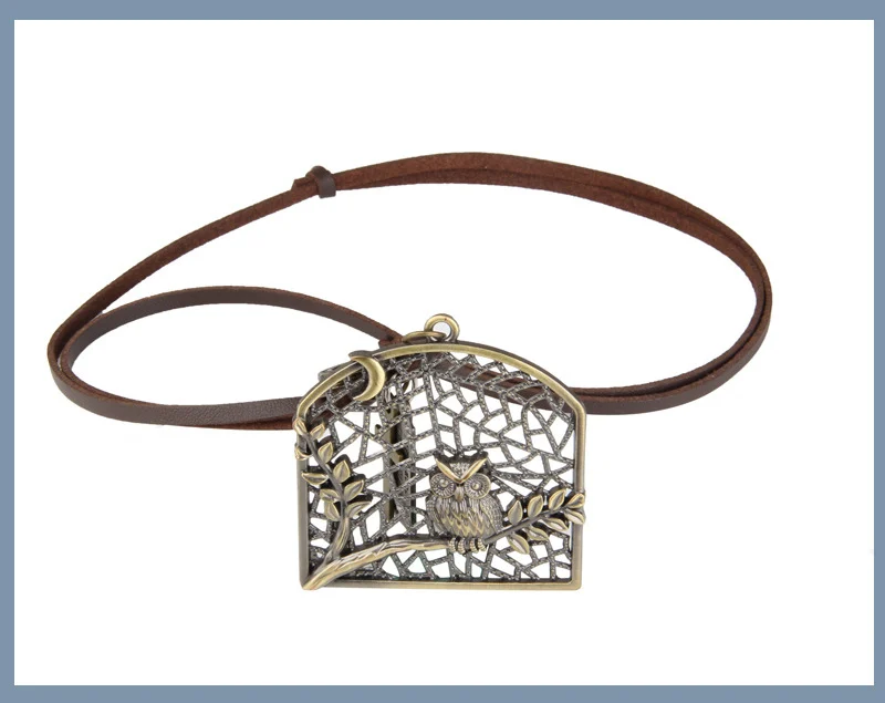 NIUYITID Vintage Bird Cage Owl Necklace & Pendant Men Long Leather Rope Neckless Creative Beautiful Jewelry Cadena Hombre (1)