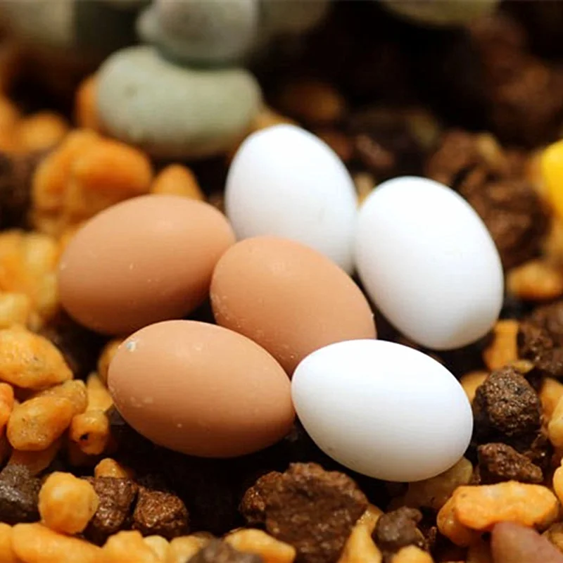 

Artificial Quail egg mini fairy garden miniatures gnomes moss terrariums resin crafts figurines for home decoration accessories