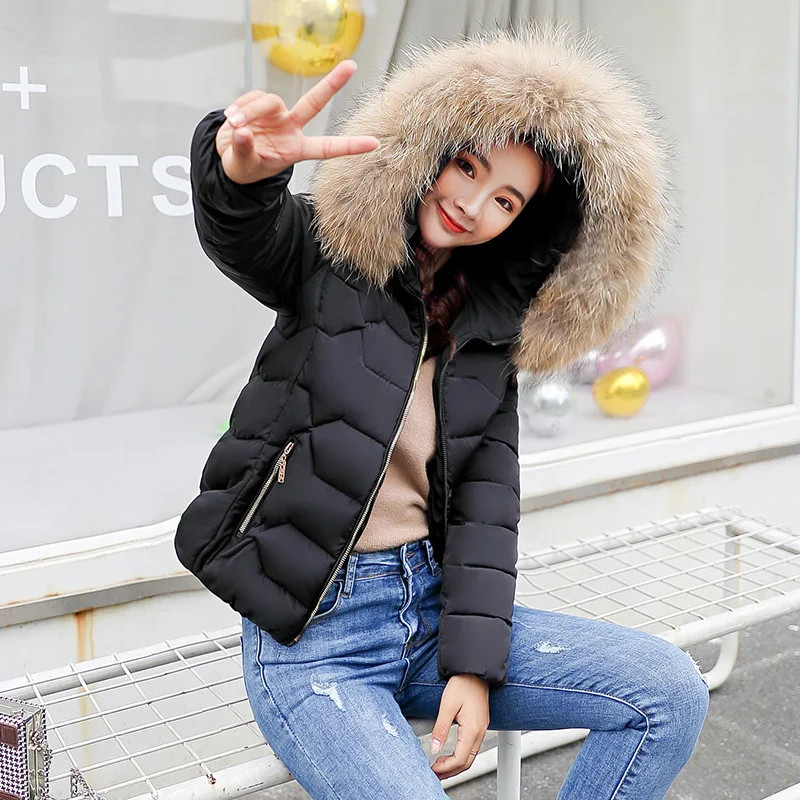 Le Parkas Hiver bleu Capuchon À Nouvelle blanc Cothes Rembourré Court gris Manteau Mode Dames Veste Mince Coton Bas Pink 6817 noir Vers AE7BZxqE
