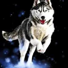 Безрамная шелухи животные DIY картина по номерам ручная роспись маслом Современная Настенная картина для домашнего творчества 40x50 см