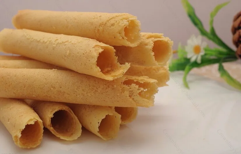egg roll making machine (2)