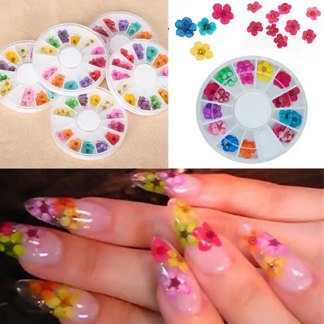 36pcs Real Nail Dried Flowers Art Decoration Diy Tips With Case 36pcs Real Nail Dried Flowers Art Decoration Diy Tips With Case Small Nails Rhinestones