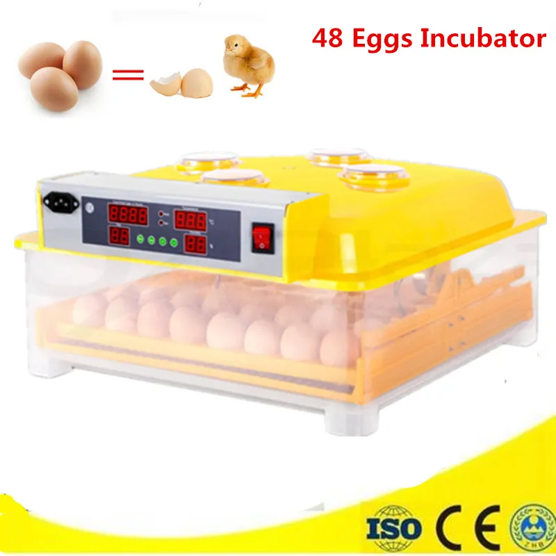 

Full automatic eggs hatcher with digital temperature control family use duck egg incubator for sale