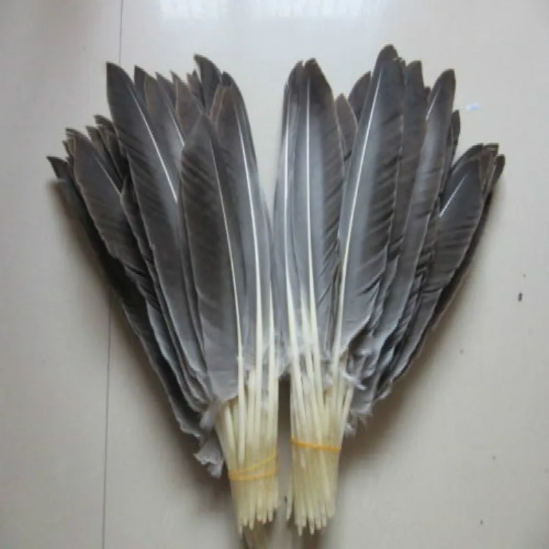 

Perfect! hot 50pcs/lot 12-14inches / 30-35cm Natural wild turkey tail feathers crafts for Christmas wedding Decoration