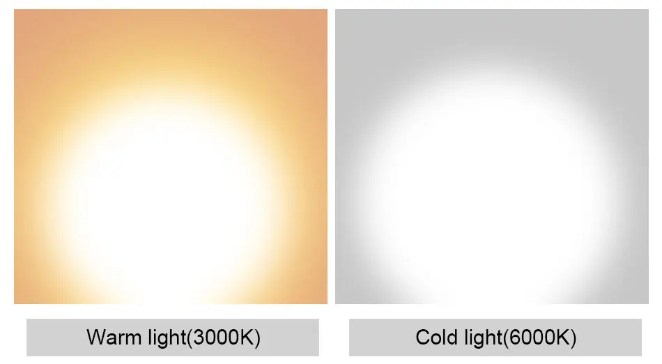 6069_10
