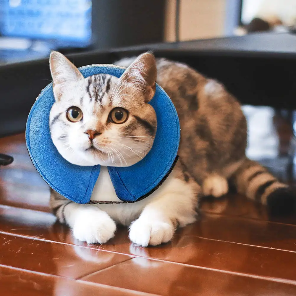 

Protective Inflatable Collar for Dogs and Cats - Soft Pet Recovery Collar Does Not Block Vision E-Collar