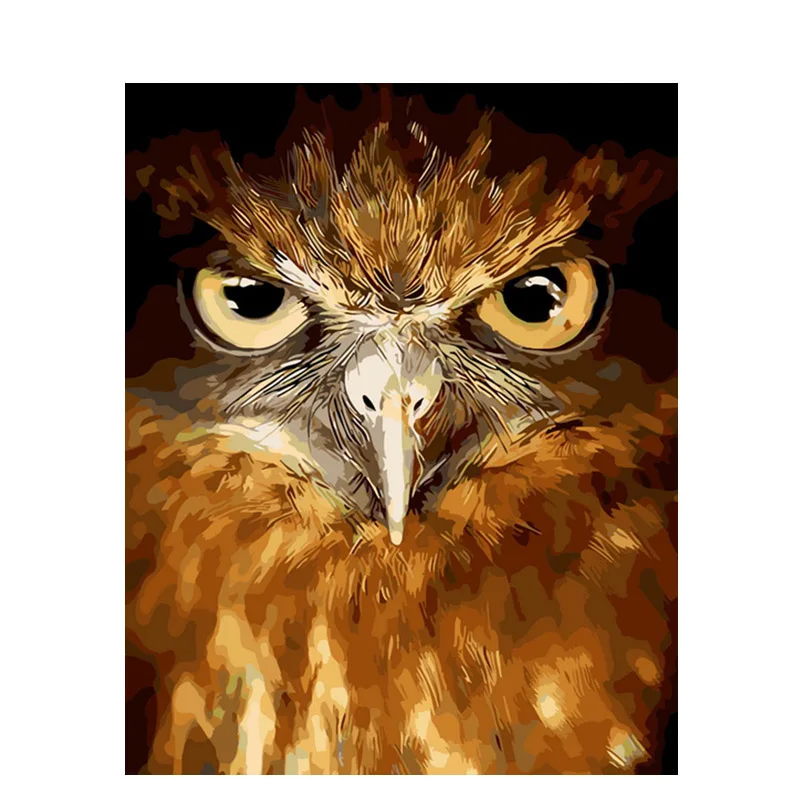 

Sharp Eagle Eye Pictures By Numbers Modern DIY Painting Handwork On Canvas Oil Painting Coloring Home Decor For Living Room