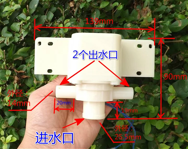 zz2