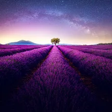 Набор для раскрашивания по номерам для взрослых DIY 40307