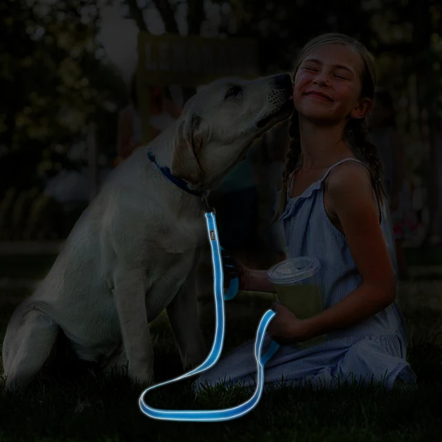 laisse pour chien réfléchissante en Nylon pour chien, 2 poignées, accessoire d'entraînement pour chiens de taille moyenne et grande – Image 5