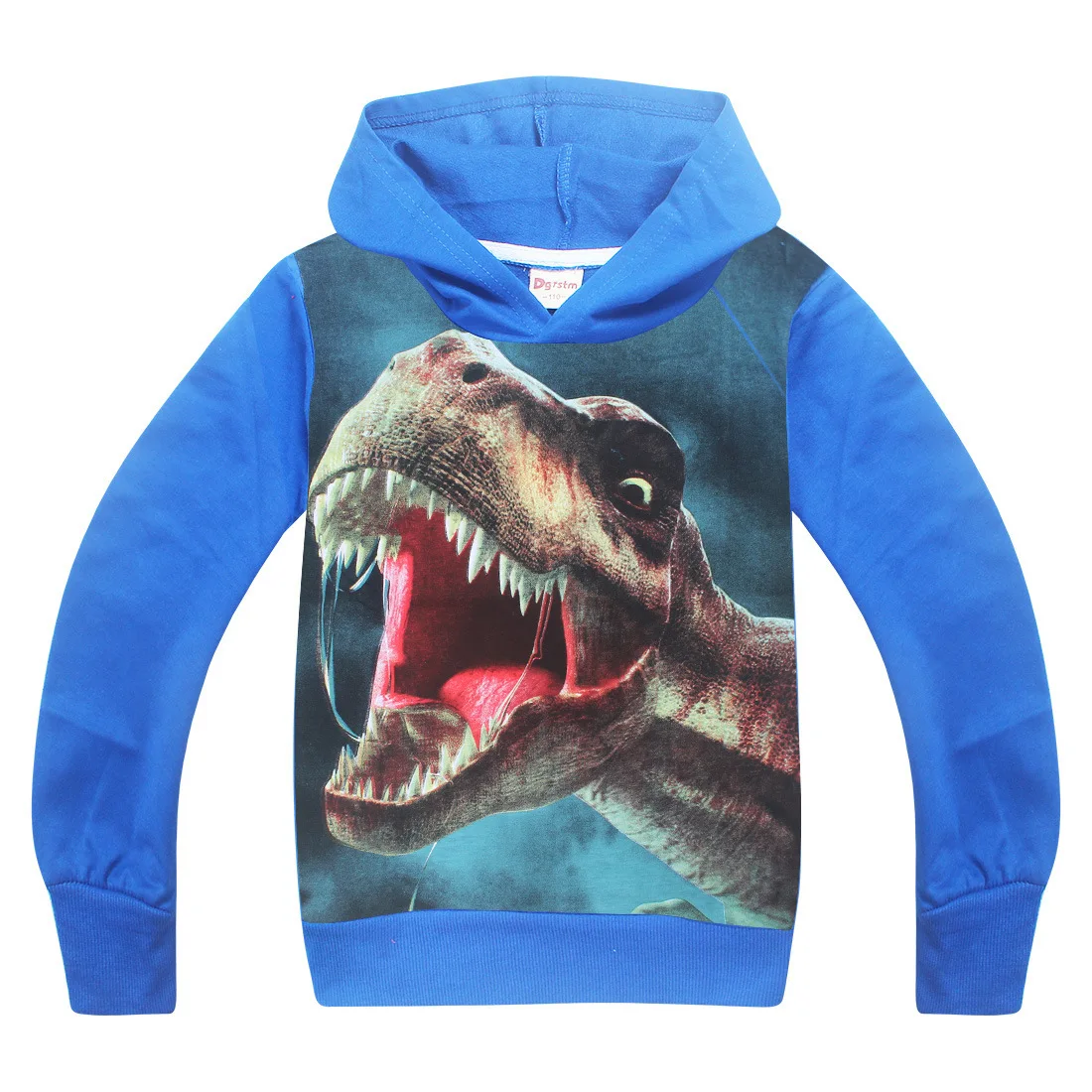 Kids Clothing Spring Autumn Hoodies For Boy Long Sleeves Dinosaur ...