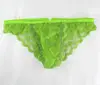 Mens Lace Sexy Underwear G2929 Rose Flower Lace Low Rise pouch Tanga Royal 6