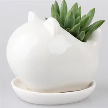 Kawaii Mini Cat Cub Baby Ceramic Flower Pots Bonsai Novelty Animal Planter Garden Porcelain Groceries Planter Jardin Macetas