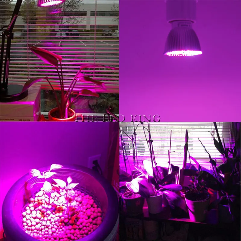 10X Новое поступление 18 Вт E27 5730 полный спектр светодиодный Grow Lights 18 светодиодный s 12Red+ 6 Синий Лампа для цветочных растений освещение для гидропонной установки AC85-265V