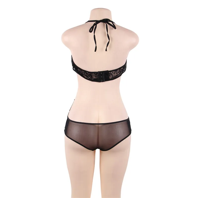 R80679-1 (5)