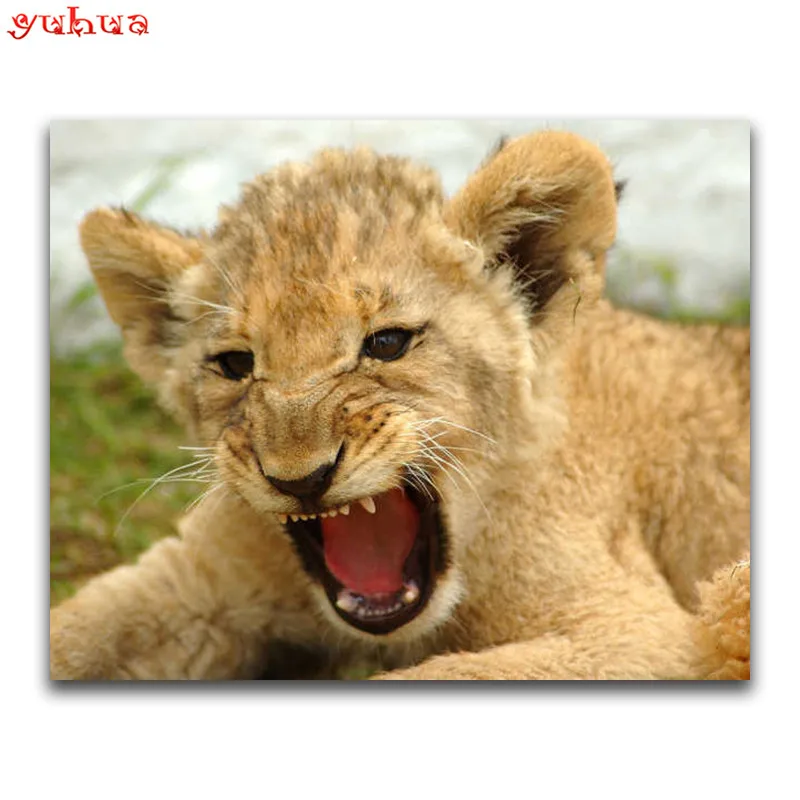 Full Square Diamond painting Cross stitch Animal Lion Round Diamond mosaic colorful Art 5D DIY Diamond embroidery dierlijk Tiger_
