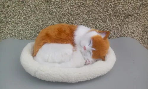 new simulation yellow&white cat polyethylene & fur sleeping cat model gift about 27x27x8cm171 new simulation cat sleeping cat lifelike white cat model gift about 19x8x14cm