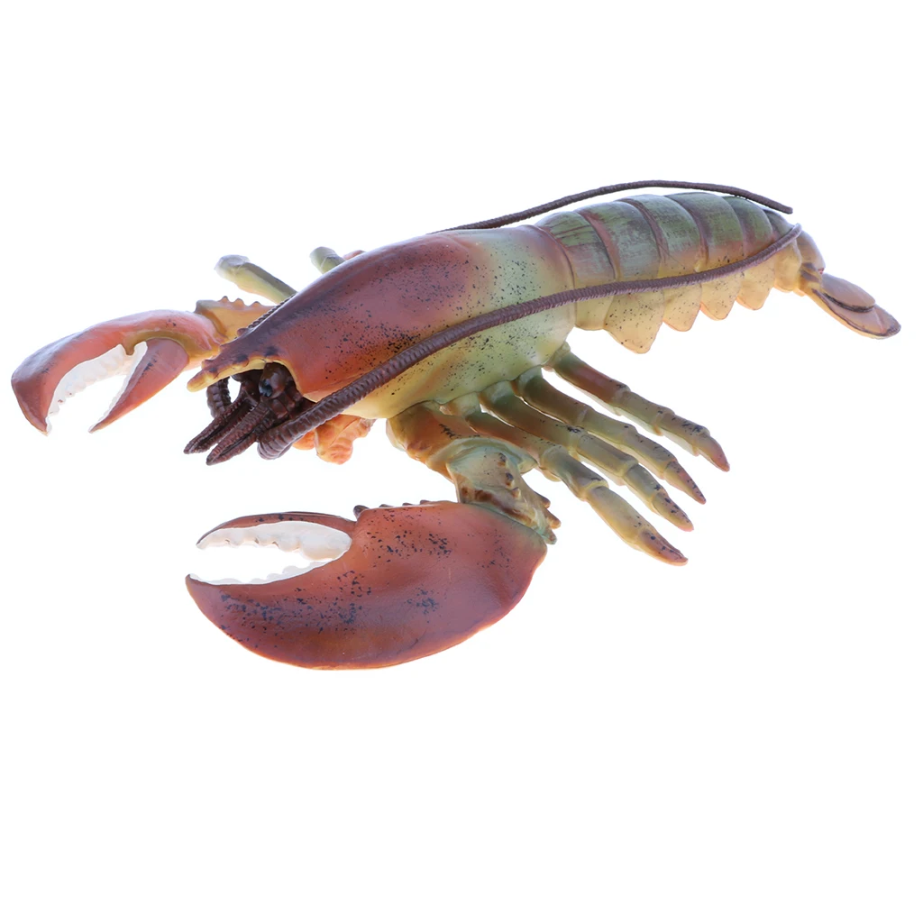 9 Inch Realistic Marine Animal Model Figurines, Plastic Lobster Action Figure Toy for Kids, Science Educational Toy, Collection
