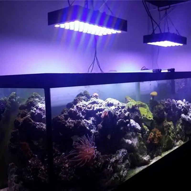 2x beamnova dimmable 180w