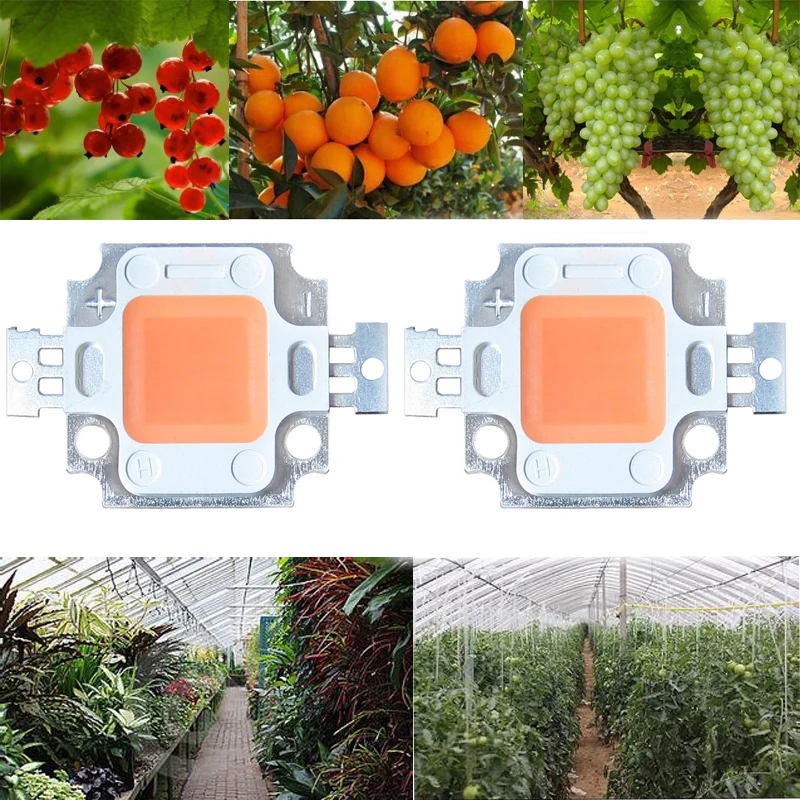

10pcs 10w Cob Grow Led Chip BridgeLux 45mil Full Spectrum 400nm~840nm Led Light Emitting Diode Bulb For Plant Grow