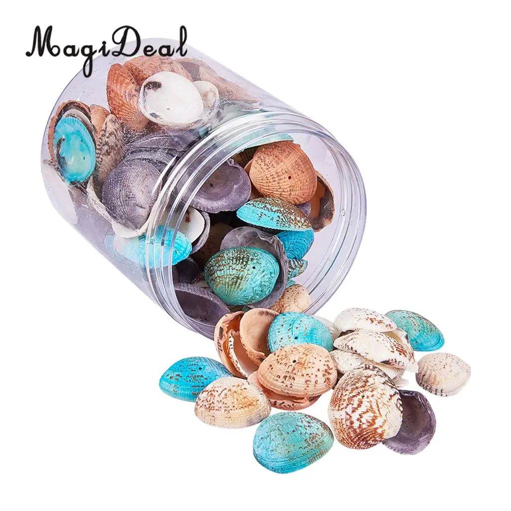2 Box Multi Sea Shells Natural Conch Shells Beach Seashells, Colorful Assorted Accents for Candle Making Home Decorations
