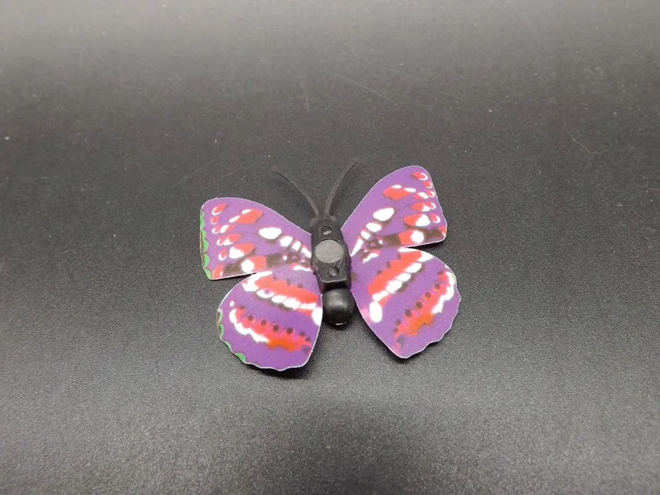 I247-Butterfly (9)