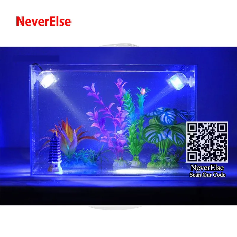 LED水槽型装飾ライト 楽天市場】LEDライト付き ミニ水槽 水槽セット アクアリウム 魚