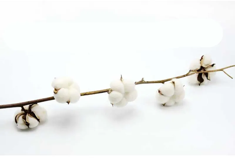 TB2AwLCbcnI8KJjSsziXXb8QpXa_!!2321663065