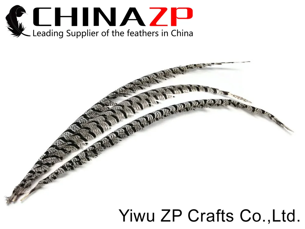 Tail Feathers, 10 Pieces - 30-35 ZEBRA Black and White Lady Amherst Pheasant Tail Feathers 4