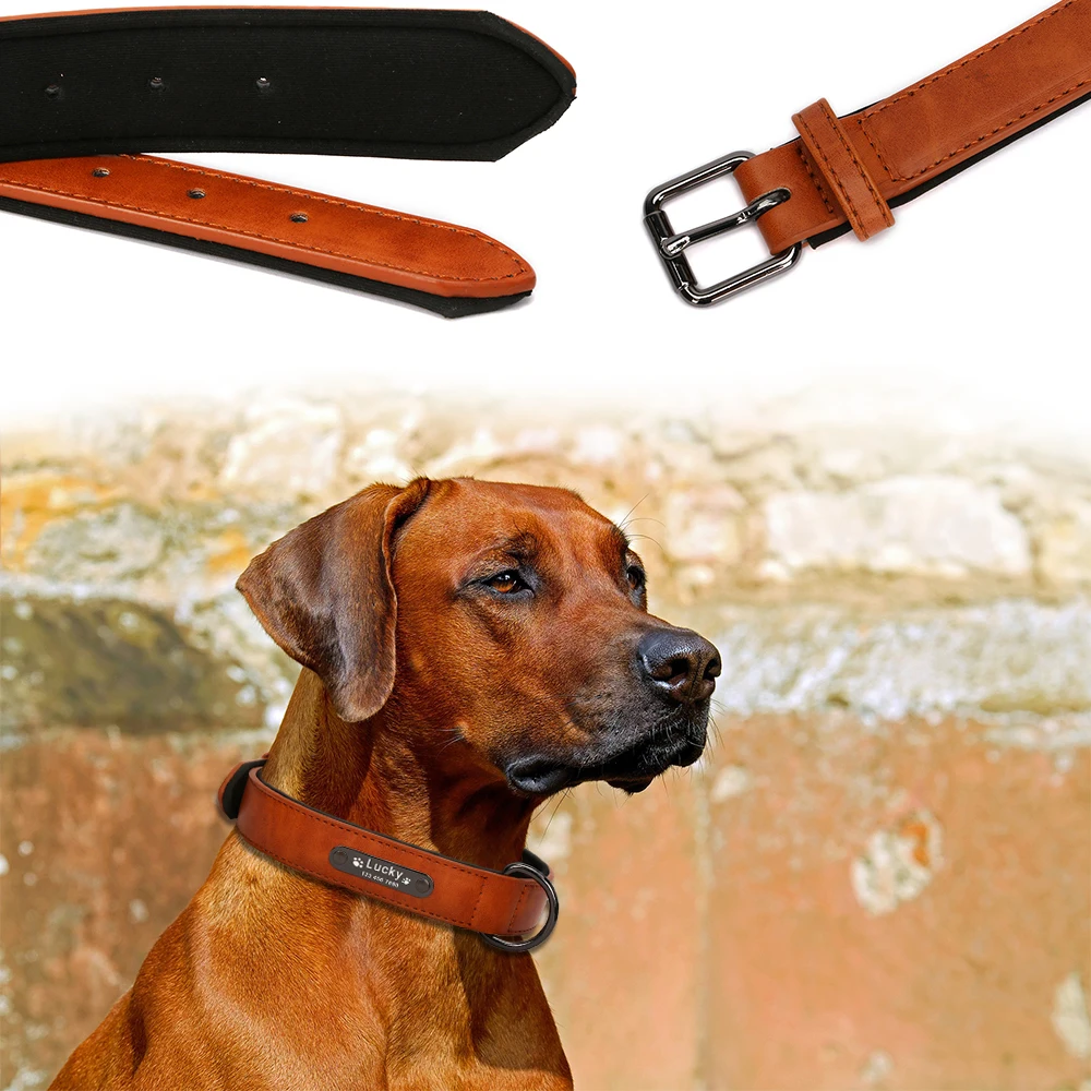 Engrave Name Dog Collar Leather Personalized Luxury Designer Small Dog Collar for Big Large Dogs Collar And Leash Dog Accessorie Dog Collars classic