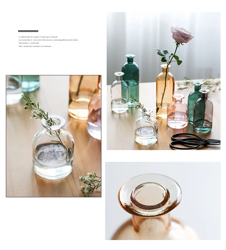 INS Small Mouth Glass Transparent Vase Nordic Wind Dried Flower Vases Japanese Home Wedding Decoration Colorful Flower Vases