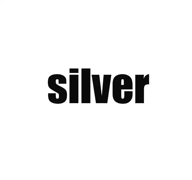 925 пробы серебряные Сияющие AAA циркониевые проложенные звезды амулеты 17 мм маленькие изысканные серебряные подвески Widgets DIY ювелирные изделия - Окраска металла: silver 1pcs