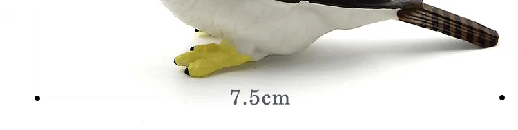 -2---DW-M-LP755-756_03