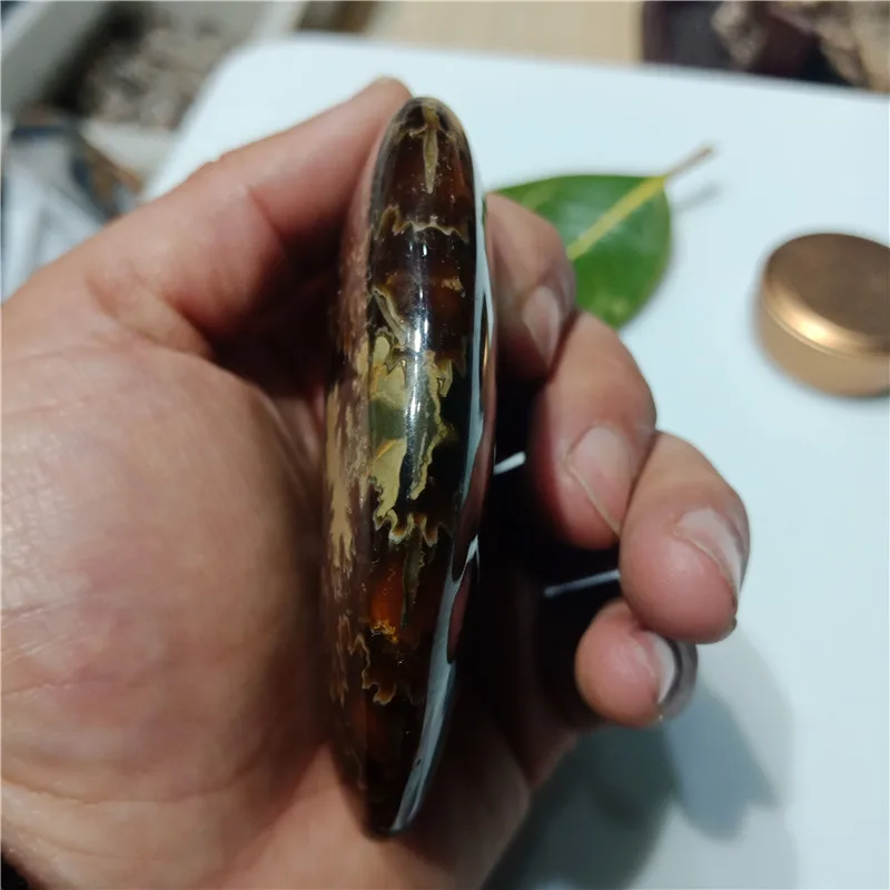 IMG20190224112212
