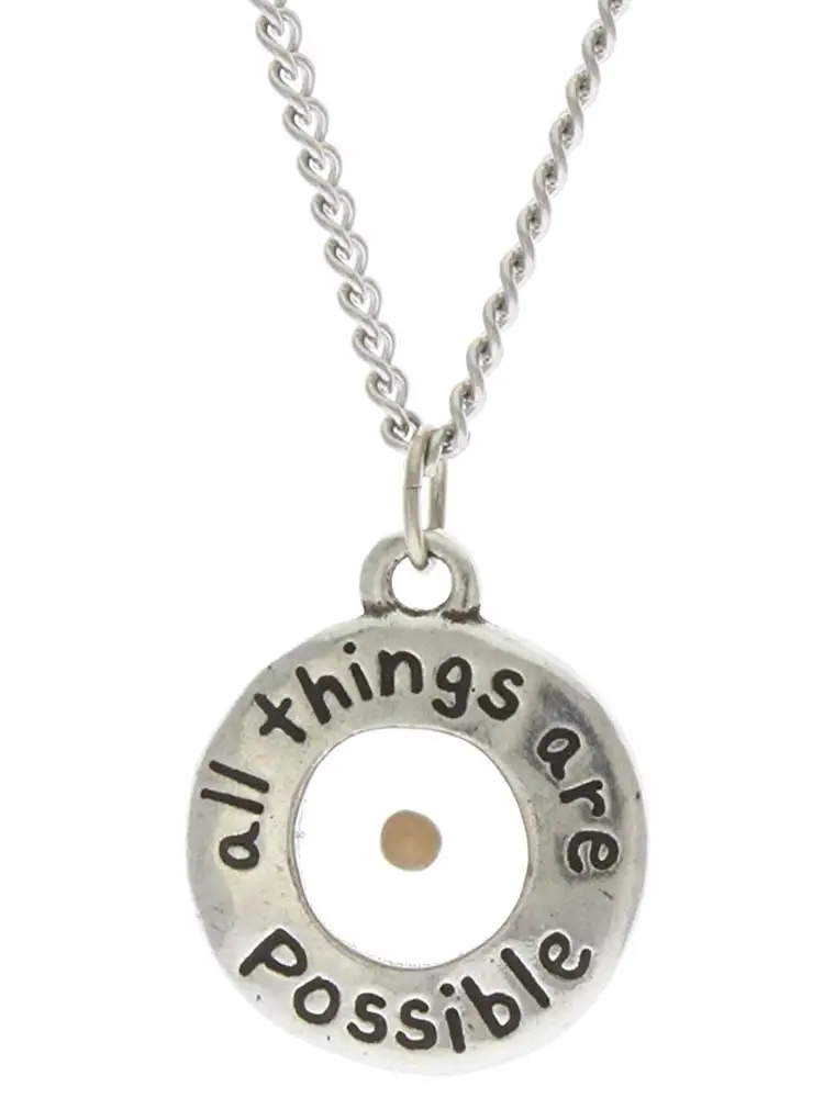 

All Things Are Possible,with real Mustard Seed Necklace for Women Men Silver Color Chain Religious Jewelry Christian Faith Gifts