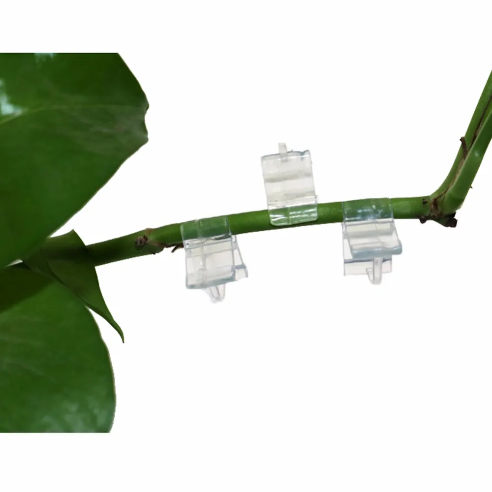 150pcs Plant Vine Grafting Clip Connector Plastic Retaining Clips Gardens Trees And Vines Transplanting Bundled Clip Tool