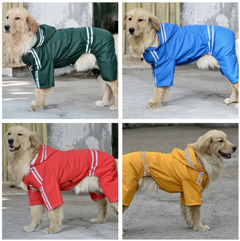 pet 01