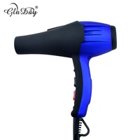 Professional Ionic Hair Dryer Blow Dryer Electric Hair Blower Hair Style Tool High Power With Blue Light 1